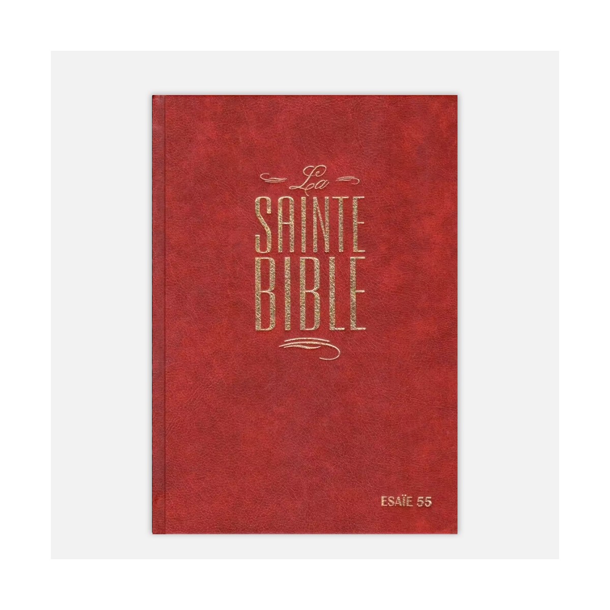 La Sainte Bible Segond 21 -